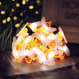 TD® QQ Guirlande Lumineuse 5M 20 Ampoules, Guirlande lumineuse LED Blanc Chaud Décoration pour Fête Noël Mariage