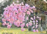 TD® cerisier artificiel rose arbre pot mariage fleur branche plastique seche exterieur decoration maison anniversaire japonais plant