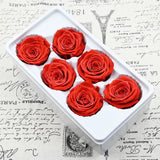 6 fleurs éternelles cadeau de fleur de tête de rose 6-7cm, cadeau de Saint Valentin cadeau de fleur de fleur éternelle rose r