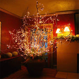 TD® USB Guirlande Lumineuse LED ,20M 200 LEDs 8 Modes Avec Télécommande, pour Jardin,Noël,Mariage,Soirée, (Blanc froid, 2pcs).