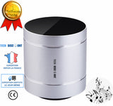 TD® Enceinte multimédia sans fil Bluetooth 10 Watts Musique Compatible PC smartphone Iphone Android son qualité multifonctions