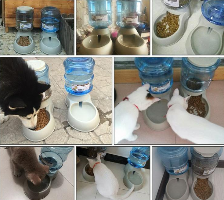 11 litres de compagnie chien chat distributeur automatique abreuvoir distributeur d'eau robot chien eau potable bassin chiot